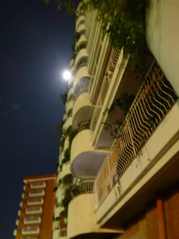 17dsc06219