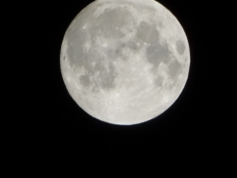 38dsc06221001