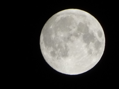 39dsc06222001