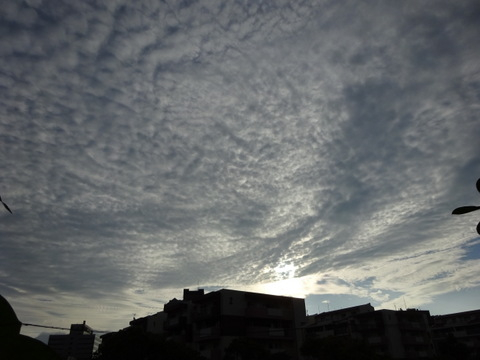 01dsc06235