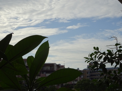 07dsc06241