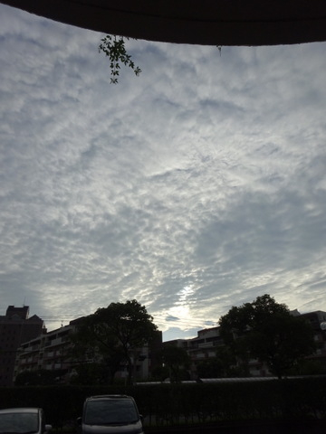 09dsc06243