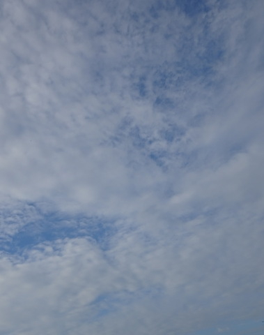 1dsc06242