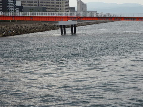 1dsc06276