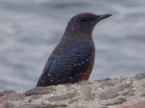 1dsc06287
