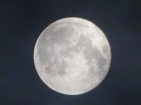 1dsc06298