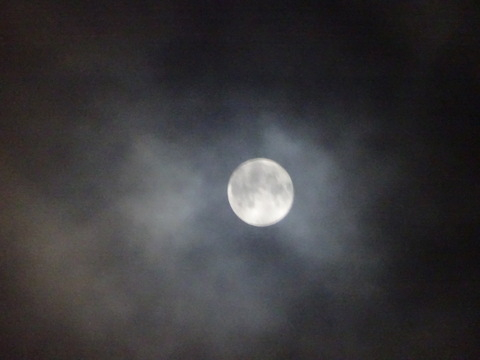 1dsc06300