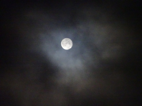 57dsc06292_2