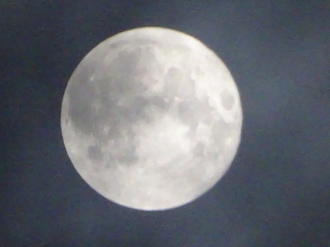 60dsc06296