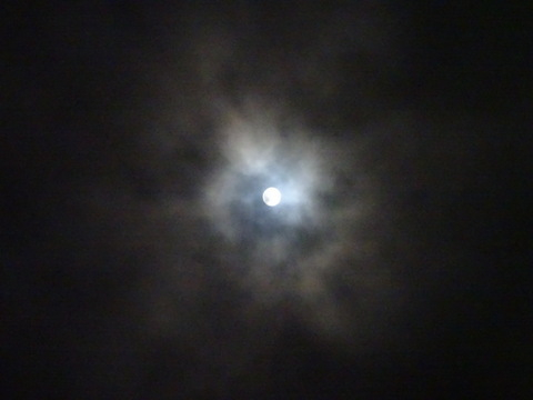 65dsc06302