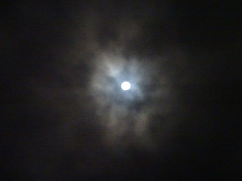 66dsc06303_2