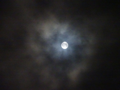 67dsc06304
