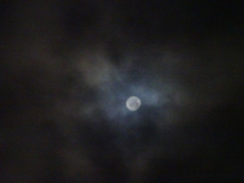 68dsc06305