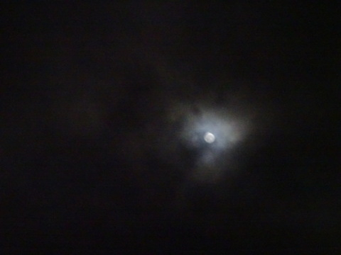 69dsc06307