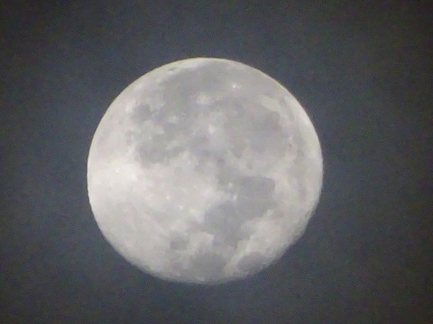 01dsc06316