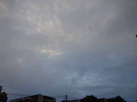 01dsc06337 01dsc06337