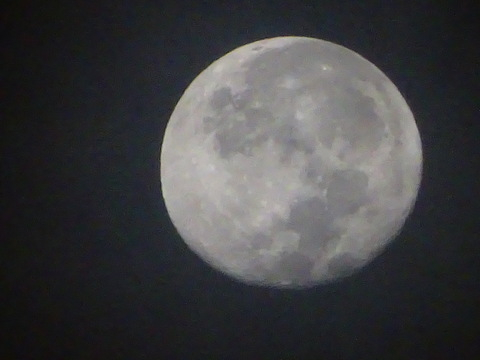 02dsc06317