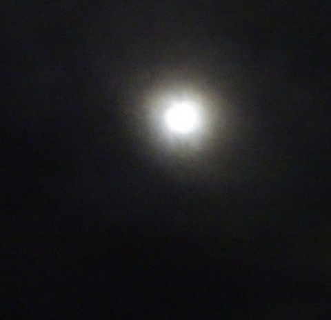 03dsc06318