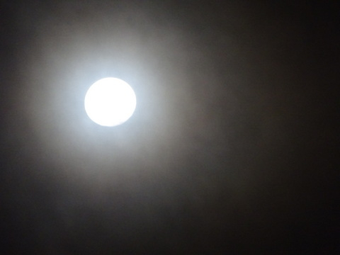 05dsc06320
