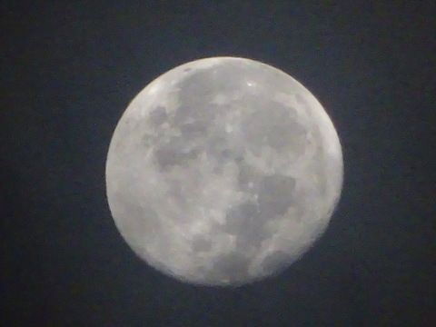 06dsc06321