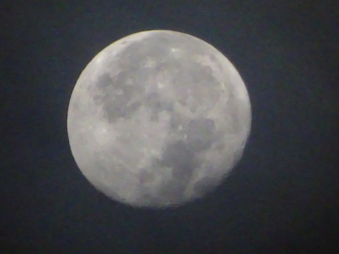 07dsc06322