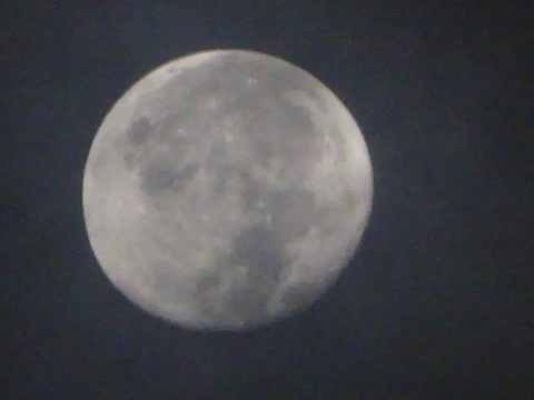 08dsc06323