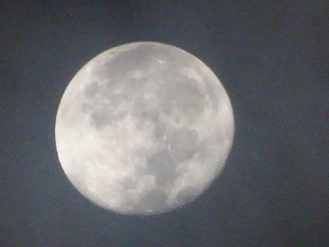 09dsc06326