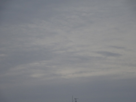 1dsc06338