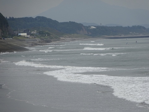 1dsc06356