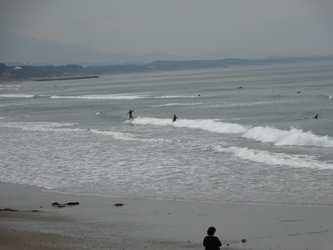 1dsc06359
