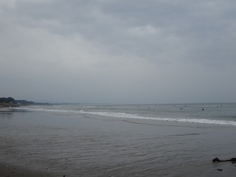 1dsc06371