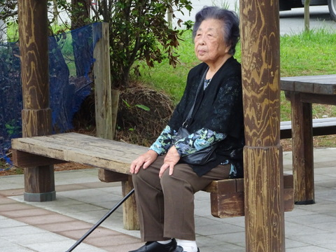 1dsc06378