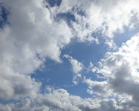 1dsc06425001