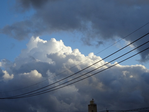1dsc06435