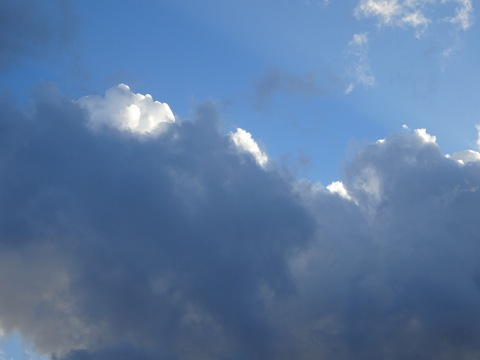1dsc06443