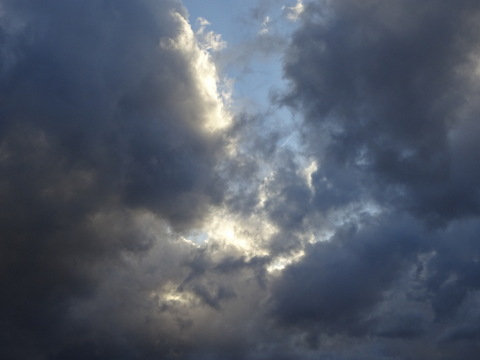 1dsc06446_2