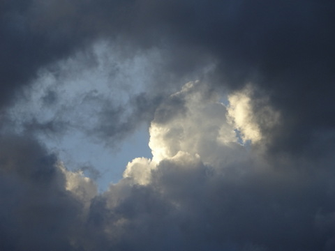 1dsc06448