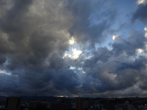 1dsc06452