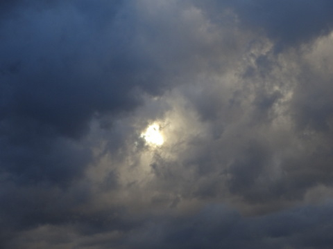 1dsc06459