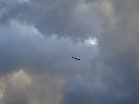 1dsc06460