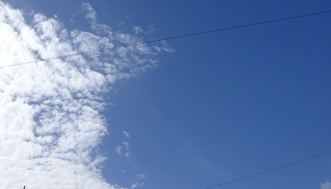 1dsc06473