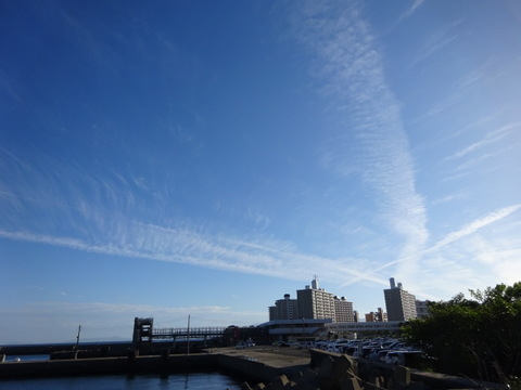 1dsc06489