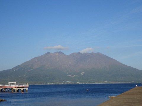 1dsc06490