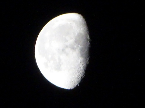 08dsc06593