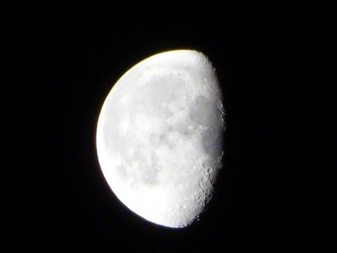 09dsc06594