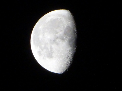 10dsc06595