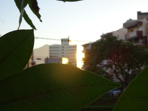 12dsc06597