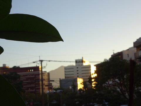 13dsc06598