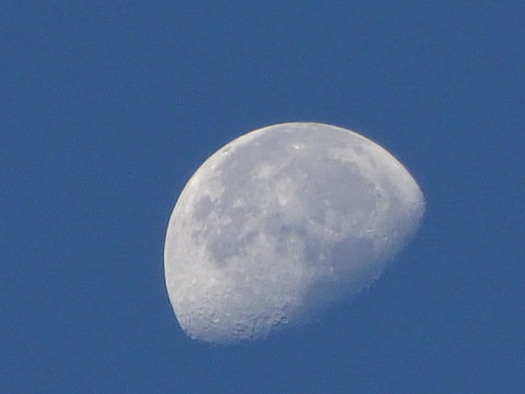 16dsc06601