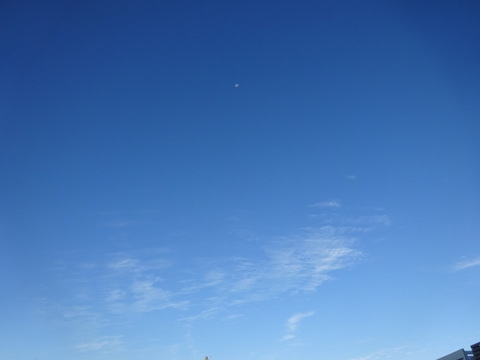 17dsc06602